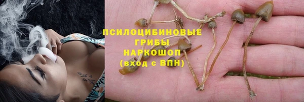первитин Зерноград